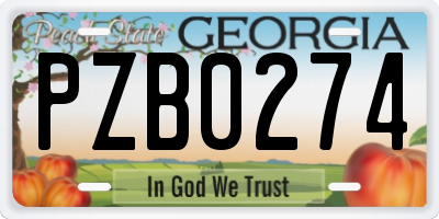 GA license plate PZB0274