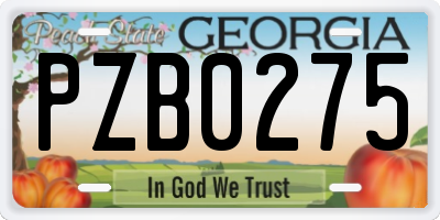 GA license plate PZB0275