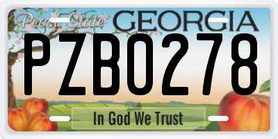 GA license plate PZB0278