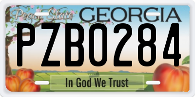 GA license plate PZB0284