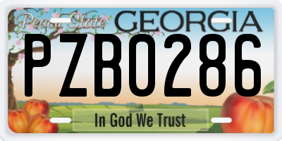 GA license plate PZB0286