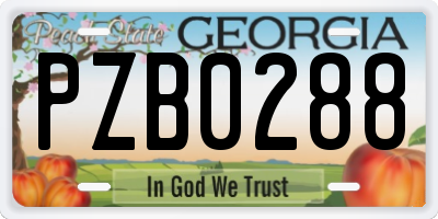 GA license plate PZB0288