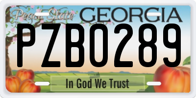 GA license plate PZB0289
