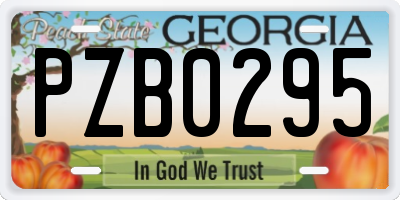 GA license plate PZB0295