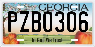 GA license plate PZB0306