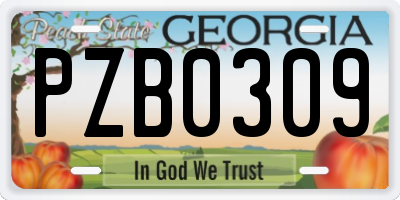 GA license plate PZB0309