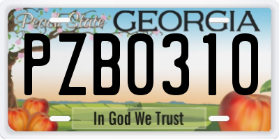 GA license plate PZB0310
