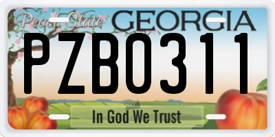 GA license plate PZB0311