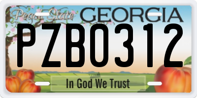 GA license plate PZB0312