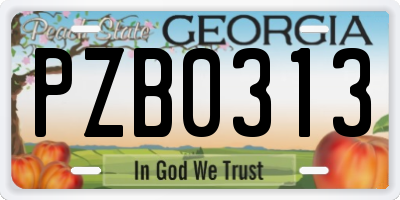 GA license plate PZB0313