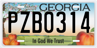 GA license plate PZB0314
