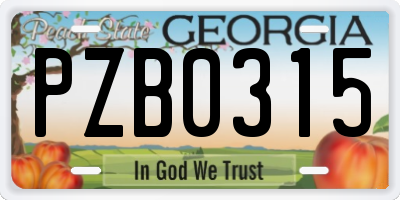 GA license plate PZB0315