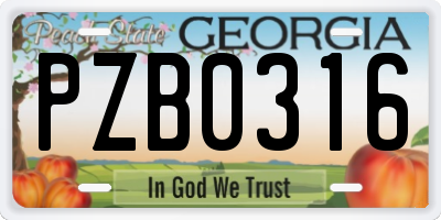 GA license plate PZB0316