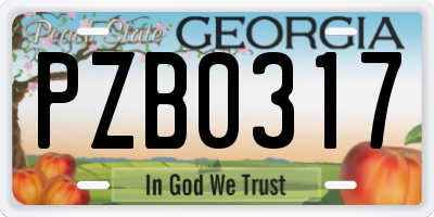 GA license plate PZB0317