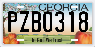 GA license plate PZB0318