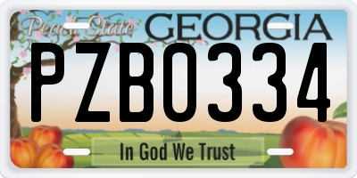 GA license plate PZB0334