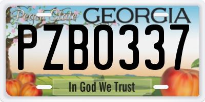 GA license plate PZB0337