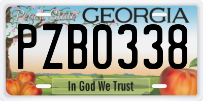 GA license plate PZB0338