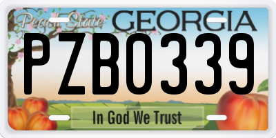 GA license plate PZB0339