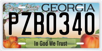 GA license plate PZB0340
