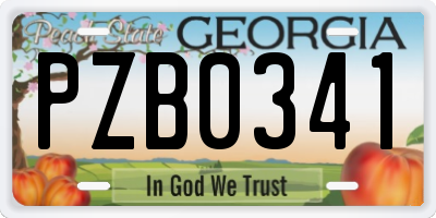 GA license plate PZB0341