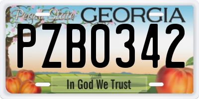 GA license plate PZB0342