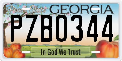 GA license plate PZB0344