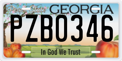 GA license plate PZB0346