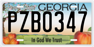 GA license plate PZB0347
