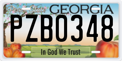 GA license plate PZB0348