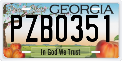 GA license plate PZB0351