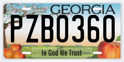 GA license plate PZB0360