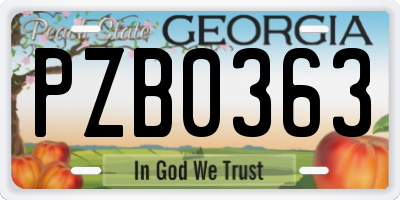 GA license plate PZB0363