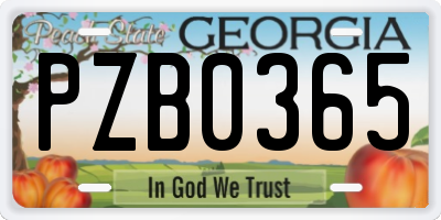 GA license plate PZB0365