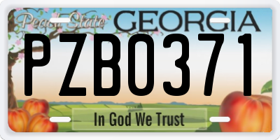GA license plate PZB0371