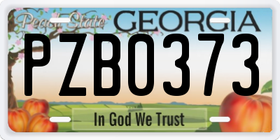 GA license plate PZB0373