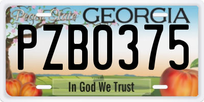 GA license plate PZB0375