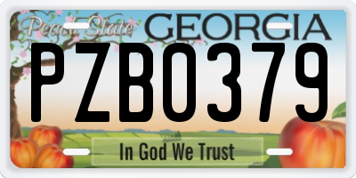 GA license plate PZB0379