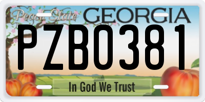 GA license plate PZB0381