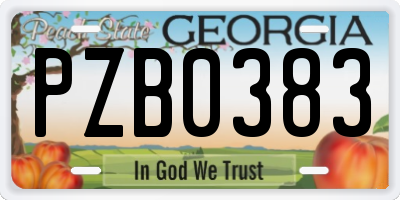 GA license plate PZB0383