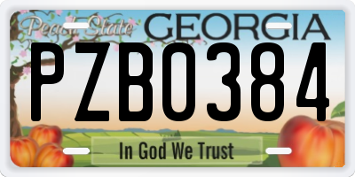 GA license plate PZB0384