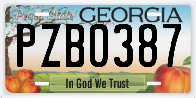 GA license plate PZB0387