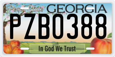 GA license plate PZB0388