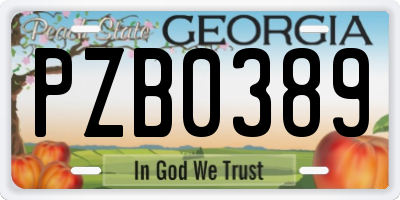 GA license plate PZB0389