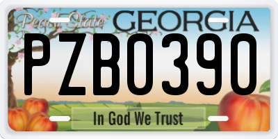 GA license plate PZB0390