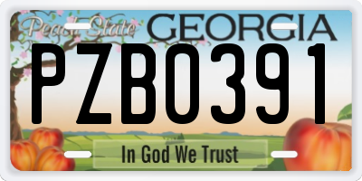 GA license plate PZB0391
