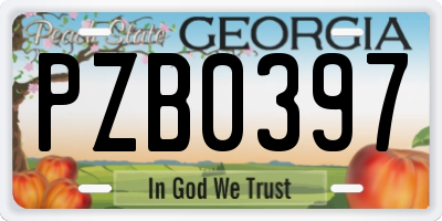 GA license plate PZB0397