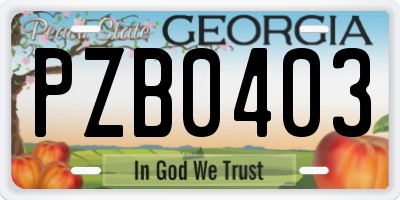 GA license plate PZB0403