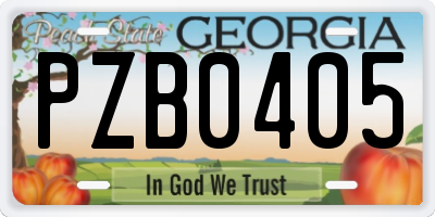 GA license plate PZB0405