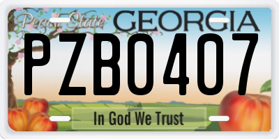 GA license plate PZB0407